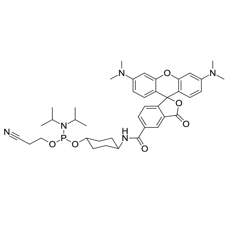 TAMRA phosphoramidite, 5-isomer